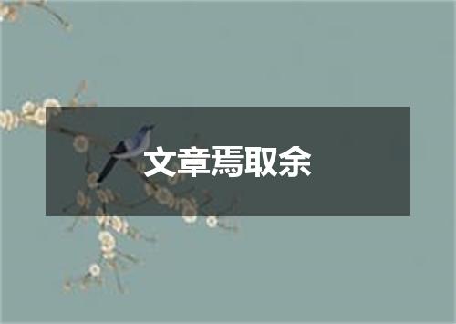 文章焉取余