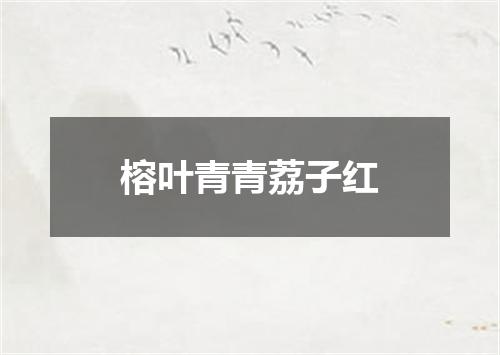 榕叶青青荔子红