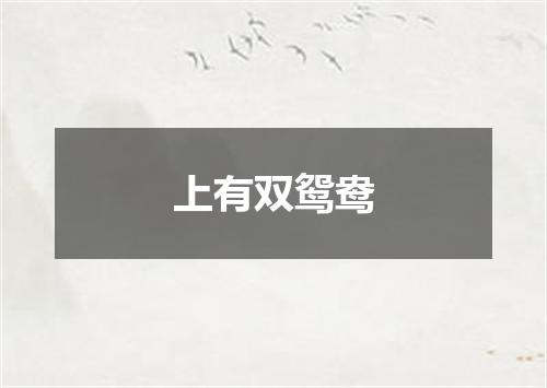 上有双鸳鸯