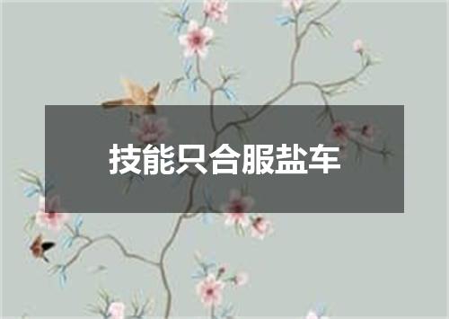 技能只合服盐车