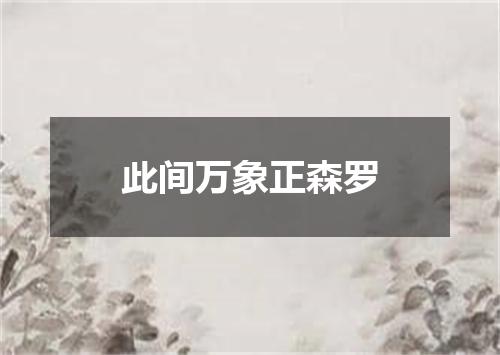此间万象正森罗
