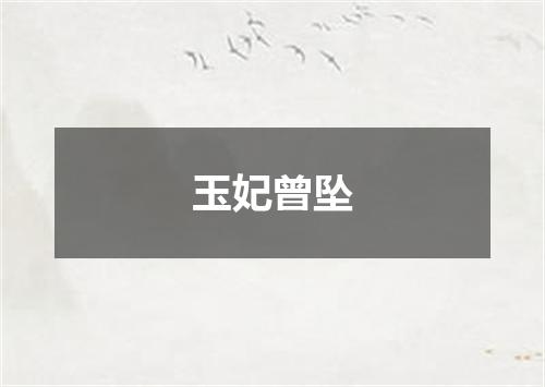 玉妃曾坠