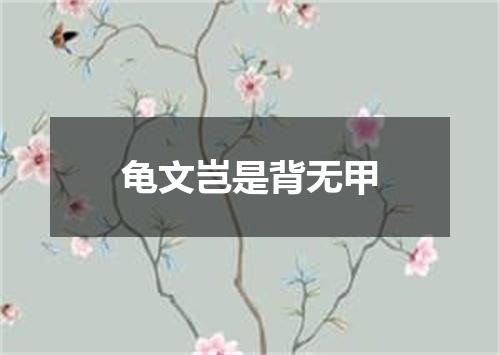龟文岂是背无甲