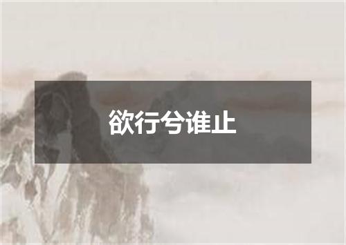 欲行兮谁止