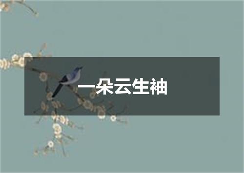 一朵云生袖