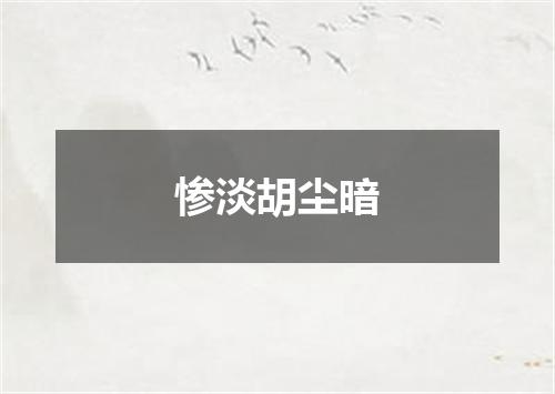 惨淡胡尘暗
