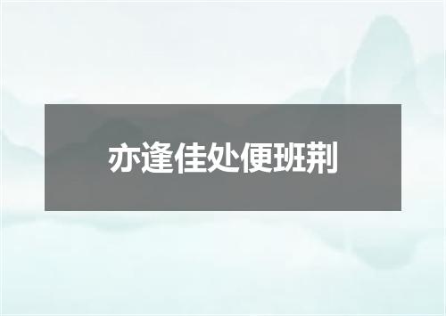 亦逢佳处便班荆