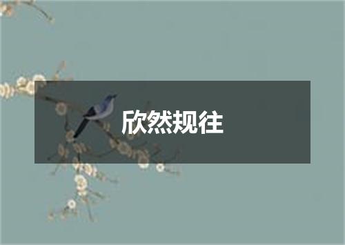 欣然规往