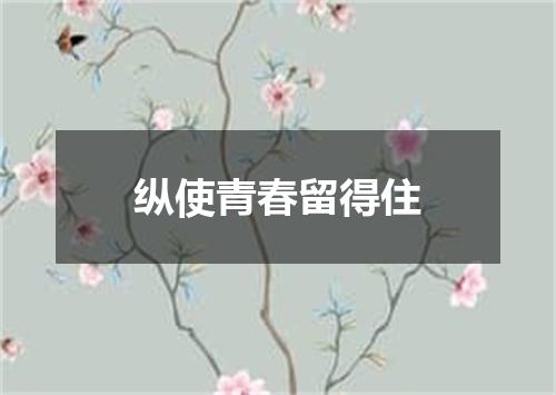 纵使青春留得住
