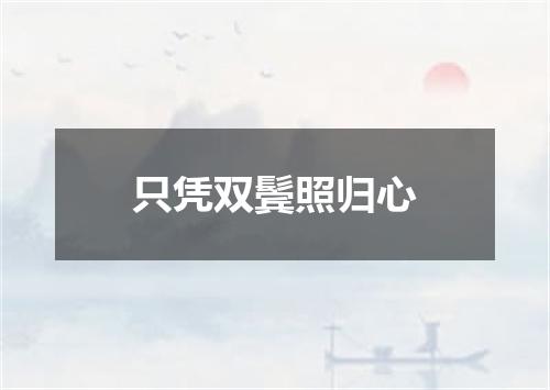 只凭双鬓照归心