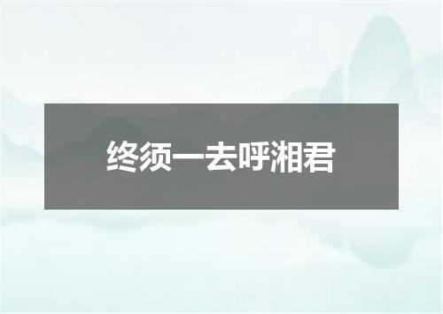 终须一去呼湘君