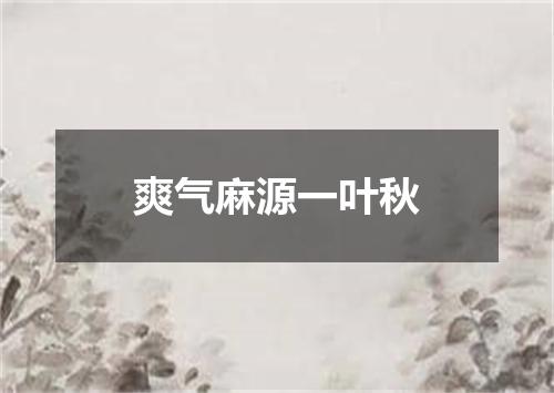 爽气麻源一叶秋