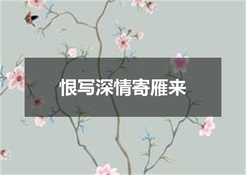 恨写深情寄雁来