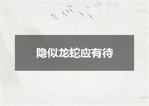 隐似龙蛇应有待
