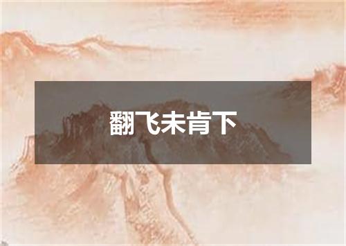 翻飞未肯下