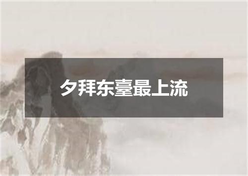 夕拜东臺最上流