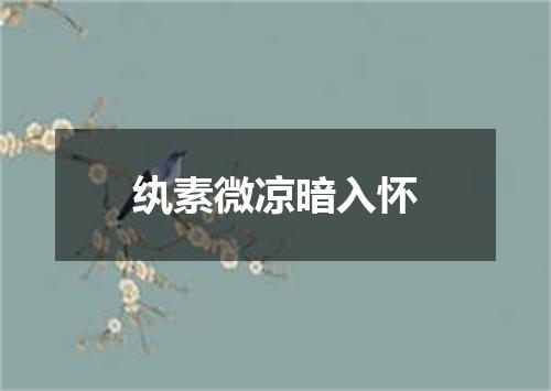 纨素微凉暗入怀