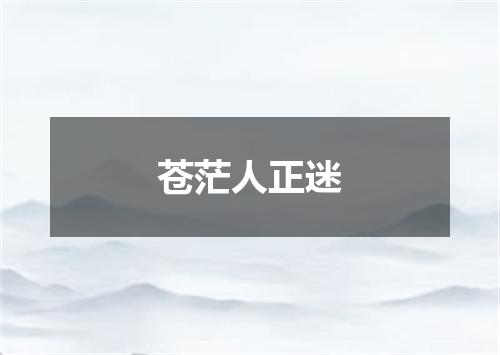 苍茫人正迷