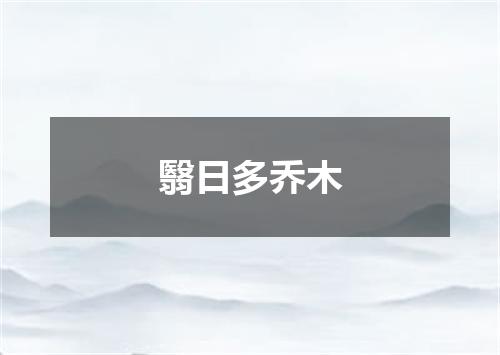 翳日多乔木