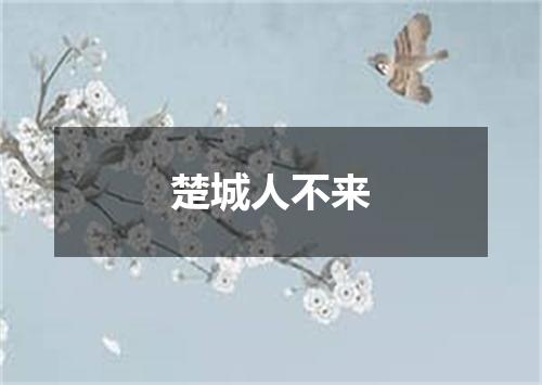 楚城人不来