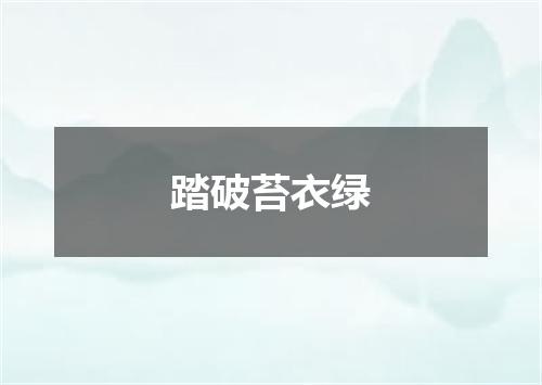 踏破苔衣绿