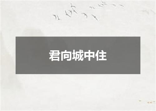 君向城中住