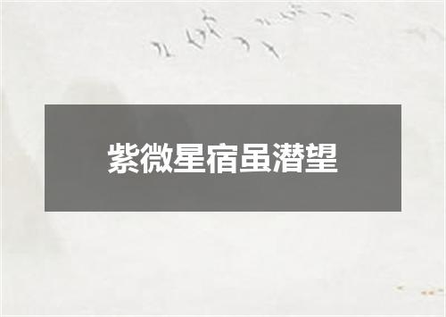 紫微星宿虽潜望