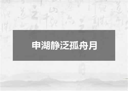 申湖静泛孤舟月