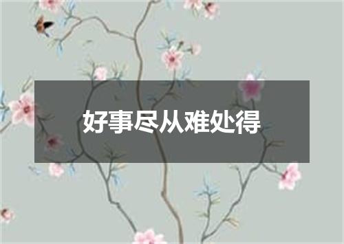 好事尽从难处得