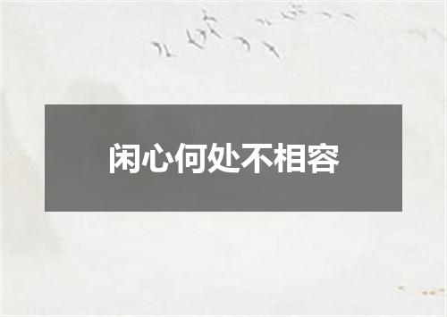 闲心何处不相容
