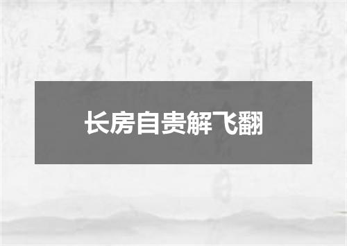 长房自贵解飞翻