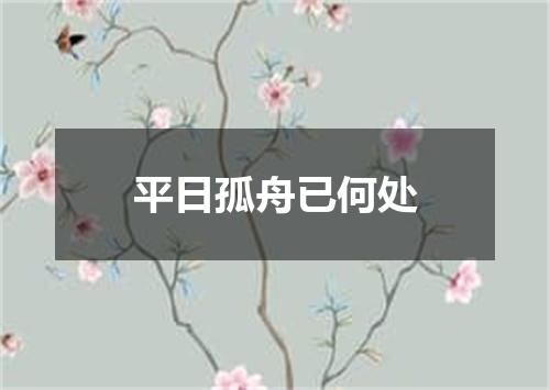 平日孤舟已何处