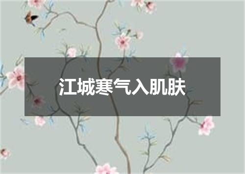 江城寒气入肌肤