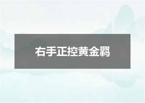 右手正控黄金羁