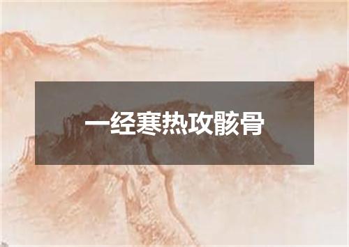 一经寒热攻骸骨