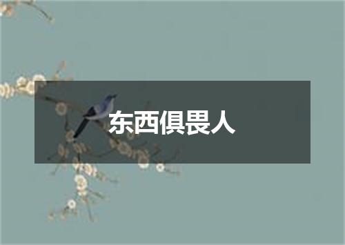 东西俱畏人