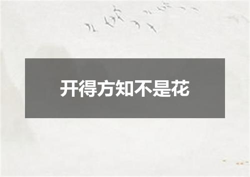 开得方知不是花
