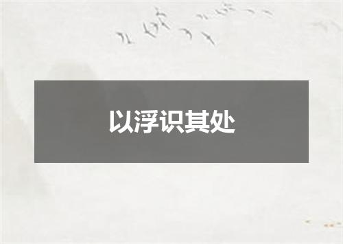 以浮识其处