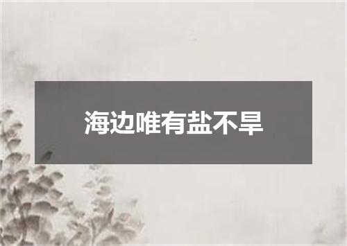海边唯有盐不旱