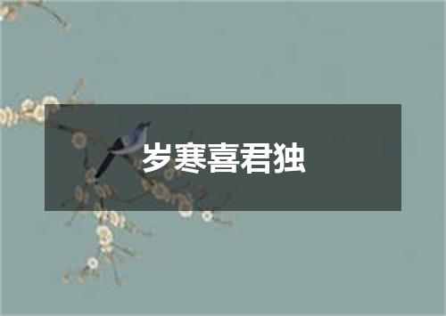 岁寒喜君独