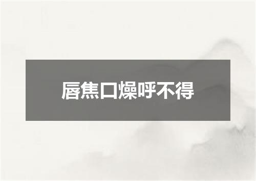 唇焦口燥呼不得