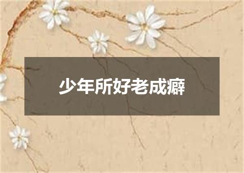 少年所好老成癖