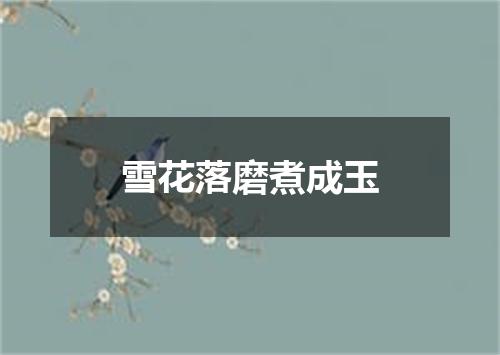 雪花落磨煮成玉