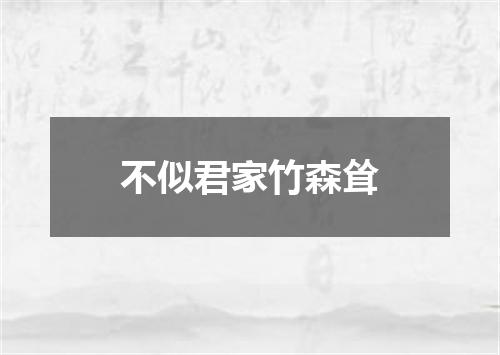 不似君家竹森耸