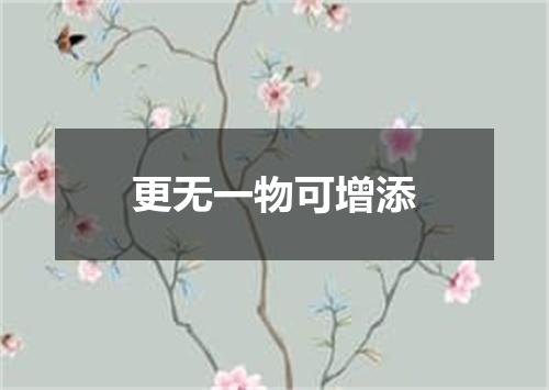 更无一物可增添