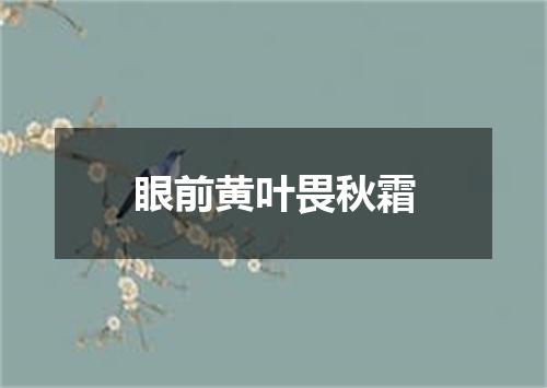 眼前黄叶畏秋霜