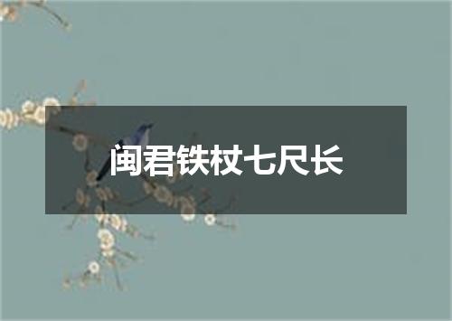 闽君铁杖七尺长