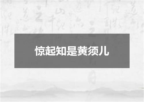 惊起知是黄须儿