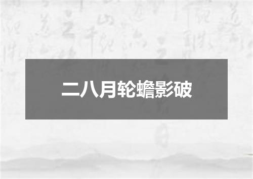 二八月轮蟾影破