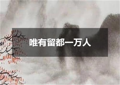 唯有留都一万人
